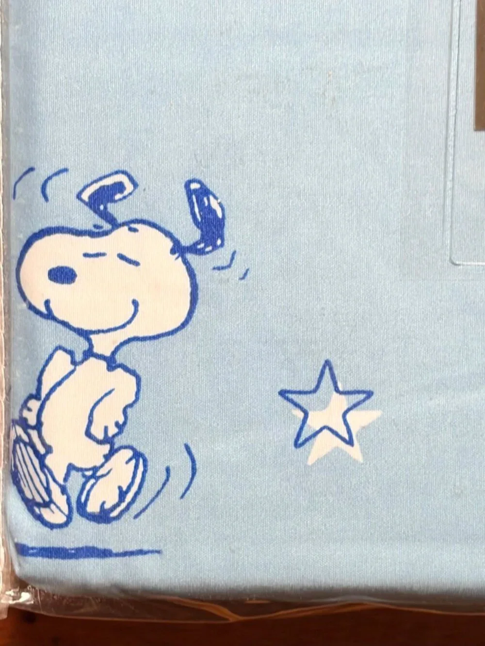 Berkshire peanuts snoopy